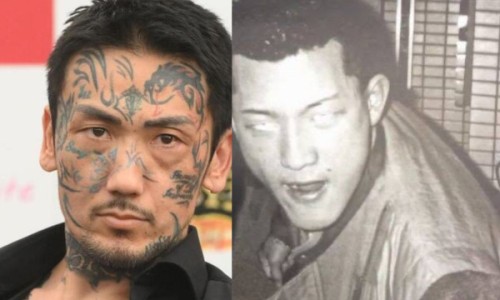 灵芝石斛鸡汤功效与禁忌-灵芝石斛鸡汤功效网 - 网站提供灵芝石斛鸡汤功效与禁忌小常识、灵芝石斛鸡汤功效和作用